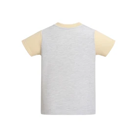 ست تیشرت آستین کوتاه و شلوارک راحتی پسرانه مدل PJ1393