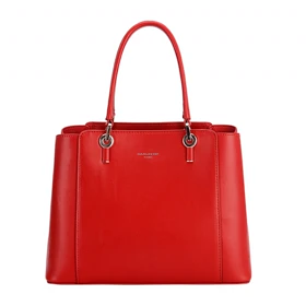 کیف دستی مدل David Jones cm6535