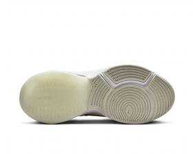 کفش روزانه Nike W NIKE ZOOM BELLA 6 PRM PC_FJ1589-100