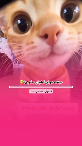 شلوار براش