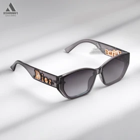 عینک آفتابی دیور Dior 6955 (طیف رنگی دوم)
