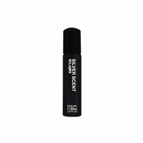 عطر قلمی مردانه اسکلاره مدل Silver Scent با حجم 30 میلی‌لیتر
