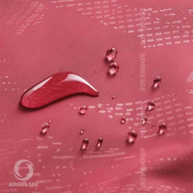 بادگیر مشتی north face BT3900