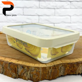 ظرف فریزری 3 لیتری آریسام