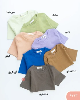 کراپ آستین کوتاه 6213