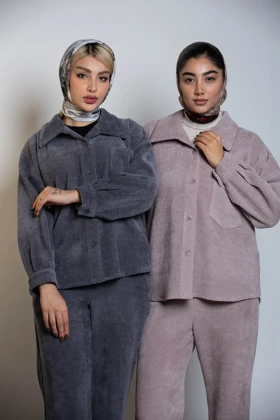 شکت بیسکوییتی