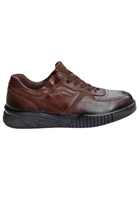 کفش مردانه هکتور-اچ Comfort Tan P3885S3232
