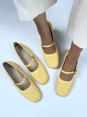 کالج لودشکا پانچی 2195