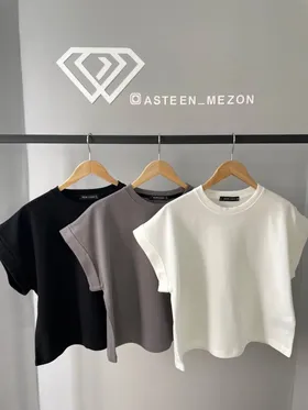 تیشرت بیسکوییتی(NEWLOOK)