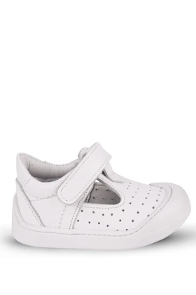 کالج بچگانه kaptan-junior kaptan-junior