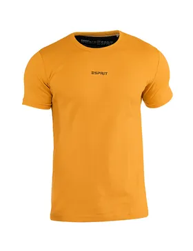تیشرت مردانه یقه گرد Esprit