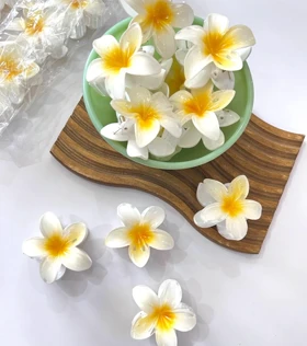 کیلیپس پلومریا 8سانت