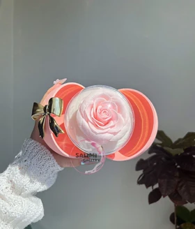 باکس گل جاودان پاپیونی