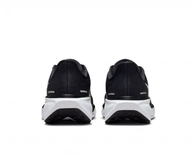 کفش دویدن Nike W Pegasus 41 PC_FD2723-002