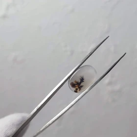 عقیق شجر قائن اصل کد 25