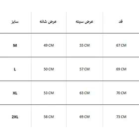 پیراهن زمستانه JACHS NY