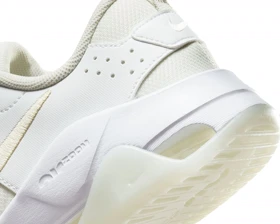 کفش روزانه Nike W NIKE ZOOM BELLA 6 PRM PC_FJ1589-100