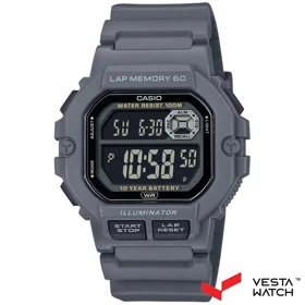 ساعت مچی مردانه کاسیو CASIO مدل WS-1400H-8BVDF