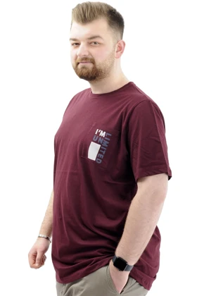 تیشرت سایز بزرگ مردانه مدکس modexl