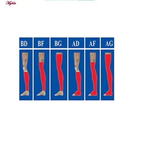 جوراب واریس طب و صنعت مدل 71000 کد AF