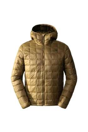 کت و کاپشن مردانه the-north-face