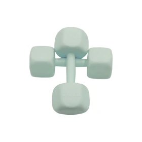 دمبل رادیس فیت مدل RPHF-4000P وزن 4 کیلوگرم بسته بندی دو عددی