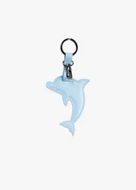 اکسسوری Y0743