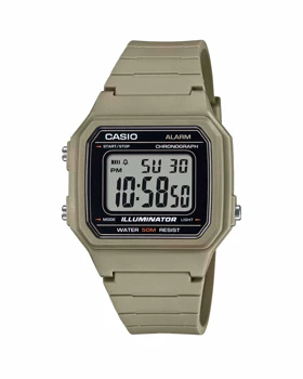 ساعت مچی کاسیو CASIO W-217H-5AV