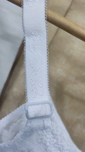 سوتین دانتل دالبری