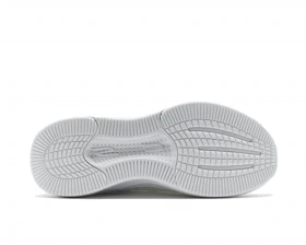 کفش دویدن Skechers GO RUN ELEVATE 2.0 PC_129010-WSL