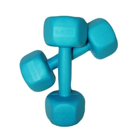 دمبل رادیس فیت مدل RPHF-2500 وزن 2.5 کیلوگرم بسته دو عددی