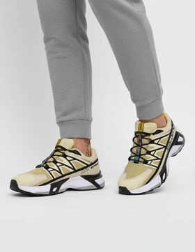 کفش ورزشی مردانه سالامون Salomon XT Street M