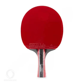 راکت پینگ پنگ لوکی مدل 3 ستاره R3