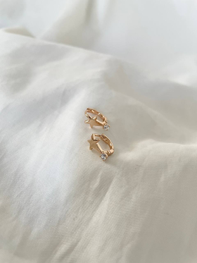 گوشواره طرح ستاره