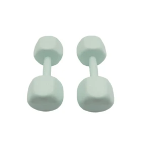 دمبل رادیس فیت مدل RPHF-4000P وزن 4 کیلوگرم بسته بندی دو عددی