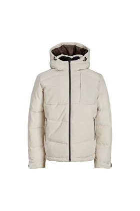 کت و کاپشن مردانه jack-and-jones