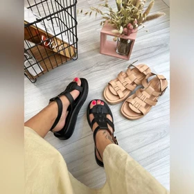 صندل خرچنگی _ 1509