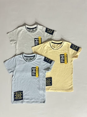 تیشرت پسرانه وارداتی طرح آرکا 20011