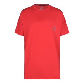 تیشرت ورزشی آستین کوتاه مردانه رادیس فیت مدل Dri-Fit R1