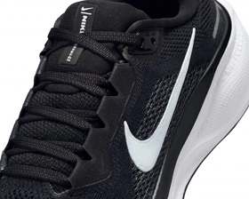 کفش دویدن Nike W Pegasus 41 PC_FD2723-002