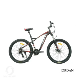 دوچرخه کوهستان فونیکس PHOENIX ZK200 سایز 29 اینچ 21 دنده