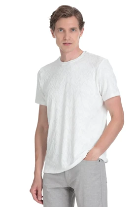 تیشرت مردانه hatemoglu