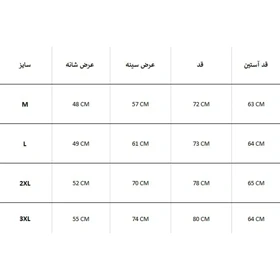 سویشرت مردانه RAINTEX