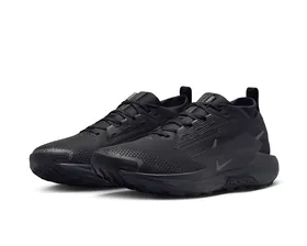 کفش های دویدن در تمام زمین Nike Pegasus Trail 5 Gore-Tex PC_FQ0908-002