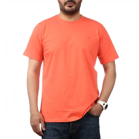 تیشرت آستین کوتاه مردانه تن کوک مدل 26518419