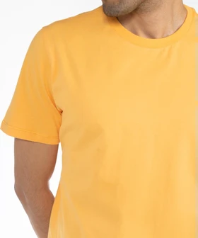 تیشرت مردانه وینترهارت مدل M2029003TS