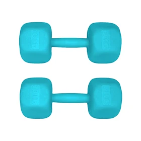 دمبل رادیس فیت مدل RFP-6 Power وزن 6 کیلوگرم بسته بندی دو عددی