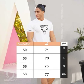 تیشرت مردانه فلامنت CHICAGO BULLS