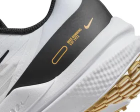 کفش دویدن Nike Wmns Air Winflo 9 PC_DD8686-104