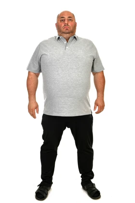 تیشرت سایز بزرگ مردانه sporting sporting